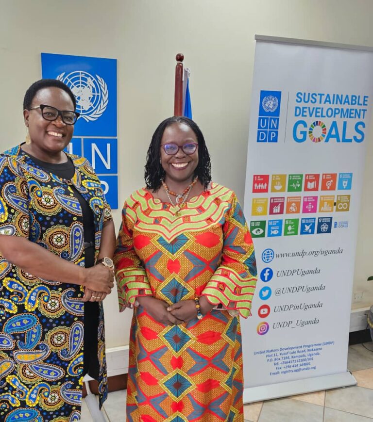 The UNDP Resident Representative for Uganda, Elsie G. Attafuah has ...