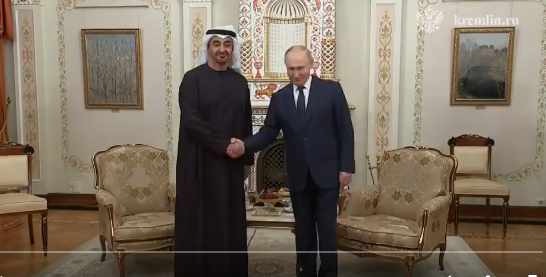 Russian President Putin meets with UAE President Mohammed bin Zayed Al Nahyan ahead of BRICS Summit in Russia.