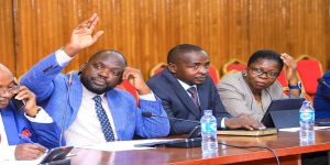 Accountability committees flag queries in meet with Auditor General